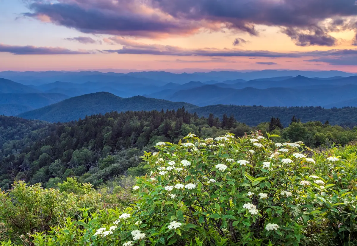 Great Smoky Mountains National Park